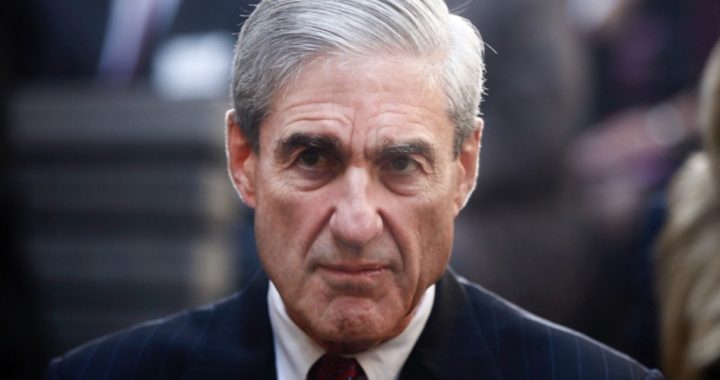 GOP Congressmen: FISA Memo Would Destroy Mueller Probe if Made Public