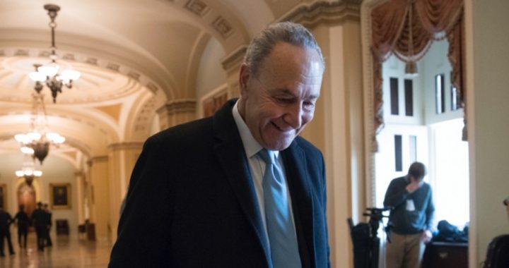 Government Shutdown Ends — This Time Democrats Blinked!