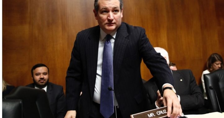 Senator Cruz Opposes Amnesty for Anyone Entering America Illegally