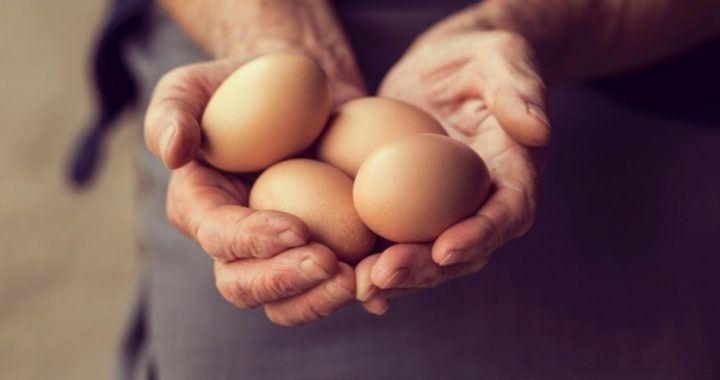 Thanks to Hyperinflation, Eggs Aren’t Cheaper in This Country