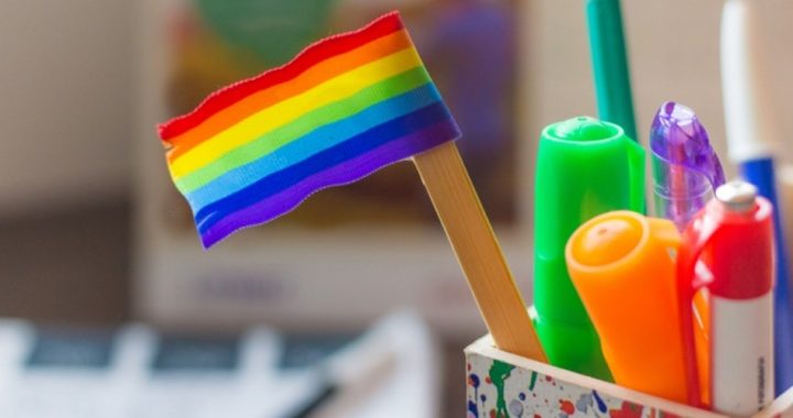 UN “Sex Education” Standards Push LGBT Agenda on 5-Year-Olds