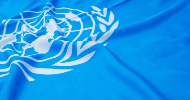 UN Exposed as Haven for Child Rapists; More Scandals Coming