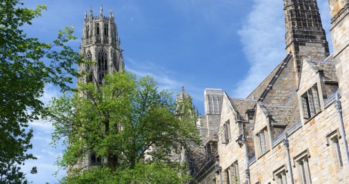 Yale Offers Course to Counteract “Whiteness” in Society