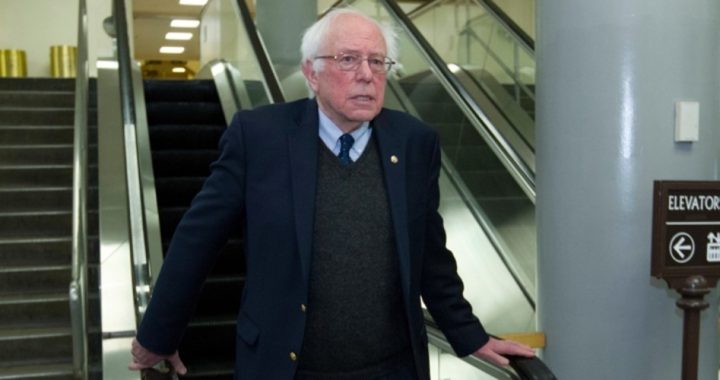 Bernie Sanders Rails Against Trump and Tax Reform as Dems Flounder