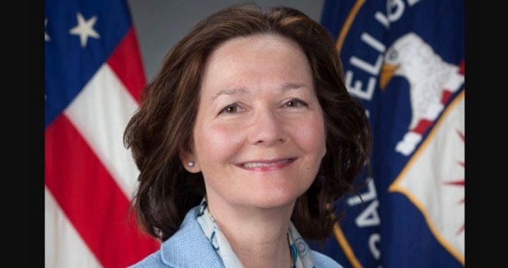Trump’s CIA Pick Should be Charged as a War Criminal for Practicing Torture