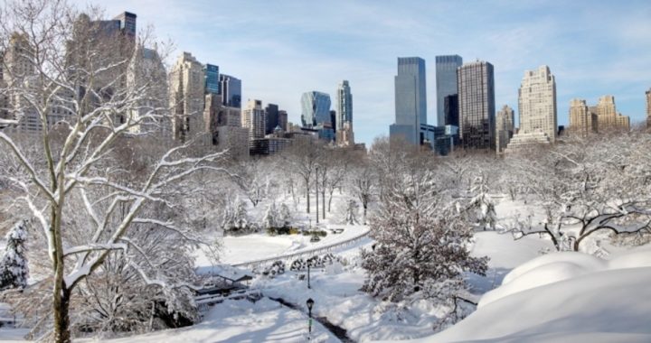 Is a Warm Arctic to Blame for New York’s Snowy Winters?