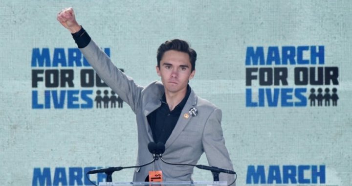 Media Double Standard: David Hogg Can Hurl Stones, but Can’t be Criticized