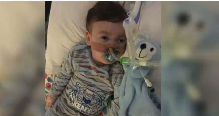 British Hospital to End the Life of Another Defenseless Child Against Parents’ Wishes