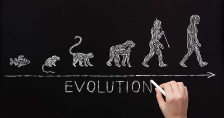 Creation Scientists Slam Evolution Propaganda in Schools