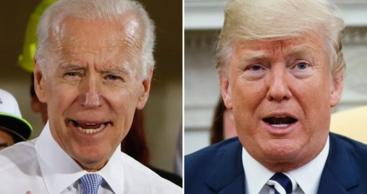 Joe Biden: Will He Oppose Trump in 2020?