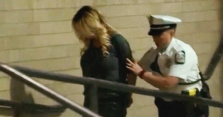 Stormy Arrested, Charges Dropped