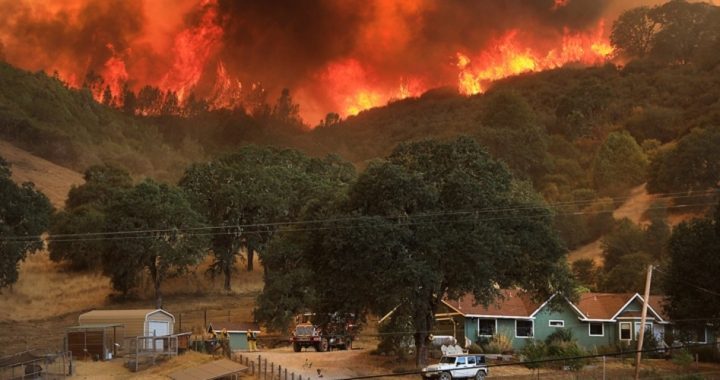 California Fires: Government Policies, Not Global Warming
