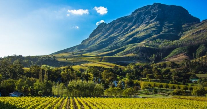 South Africa: White Farmers’ Land to be Taken — Are Their Lives Next?