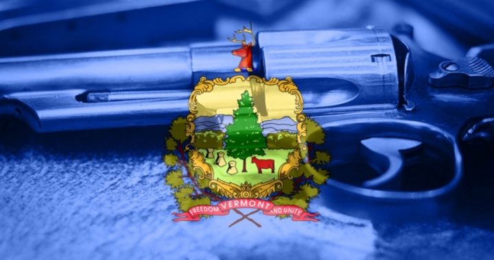 Vermont Gun Owners and Retailers Seek to Nullify New State Weapons Regulations