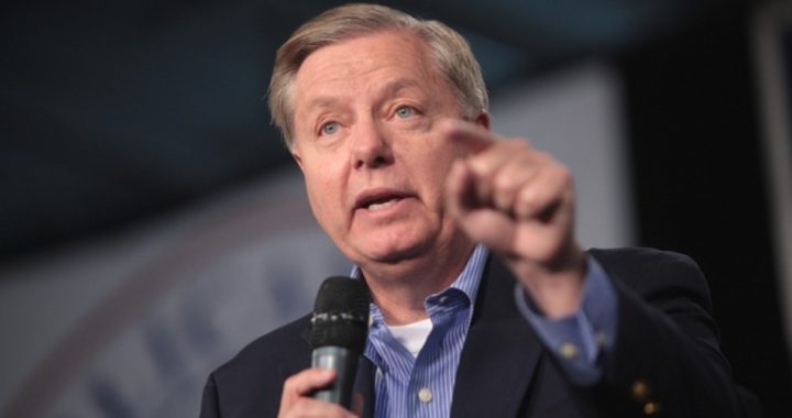 Lindsey Graham to Introduce Bill to Eliminate Birthright Citizenship