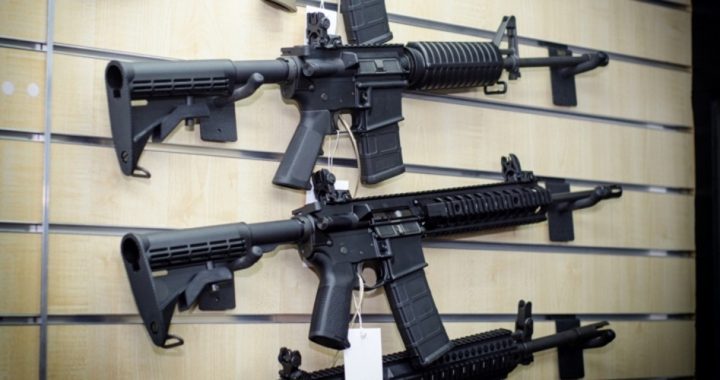Bureaucrats Call for Gutting Second Amendment to Save Us From Murder