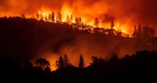 Trump Threatens to Withhold Federal Funds Over California Forest Mismanagement