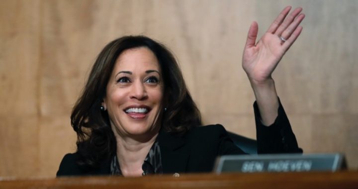 Lying Kamala Harris Might Run for President, Says “It’s Going To Be Ugly”