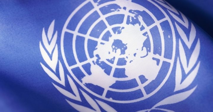 Funding the United Nations Is Making Less Sense Than Ever