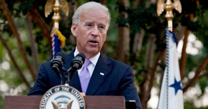 Biden’s Baby Brother: Joe’s Going to Run, Clinton Insulted Trump Voters, Young Pols Too Radical
