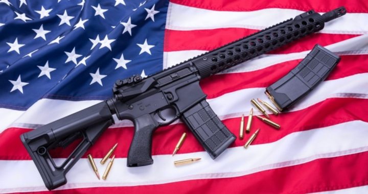 Washington State County Sheriff Nullifies State Statute’s Gun Grab