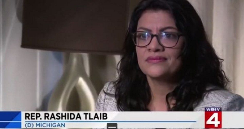 Tlaib Published in Farrakhan Newspaper, Still Has Committee Assignments