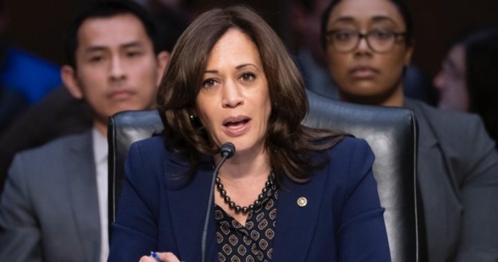 Harris Tweets Fib About Tax Refunds, Gets Another Four Pinocchios