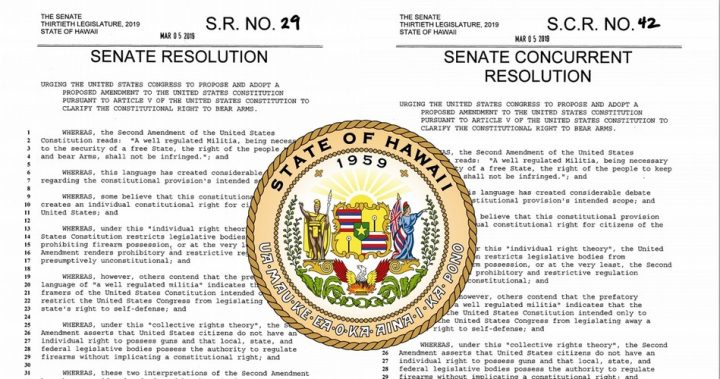 Hawaii Lawmakers Urge Congress to Repeal 2nd Amendment