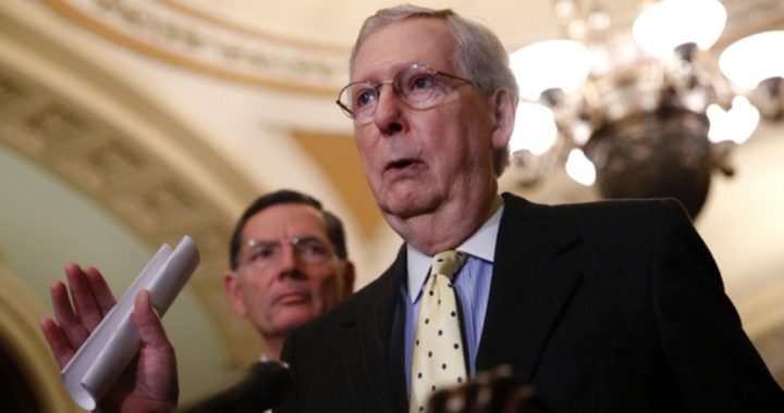 McConnell Advises Trump to Hold Off ObamaCare Vote Until After 2020