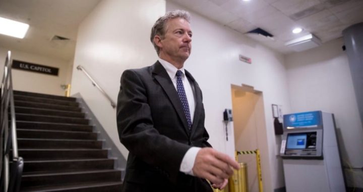 Rand Paul Proposes Immunity for Assange in Exchange for Testimony
