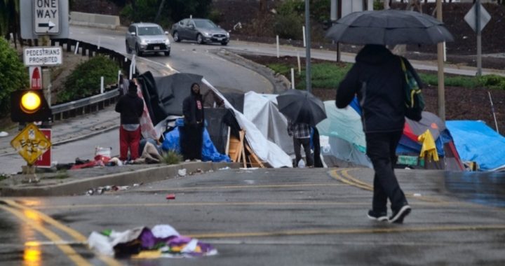 Human Waste Happens: the Sad Tale of Homelessness and Filth in Liberal “Utopias”