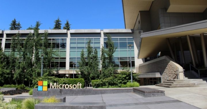 Woman Manager’s Mutiny at Microsoft Reprises Damore’s at Google