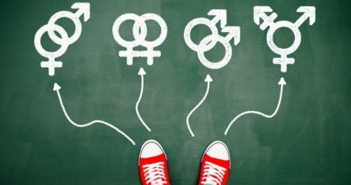 Pedophilia Being Taught As “Sexual Orientation” in California Schools