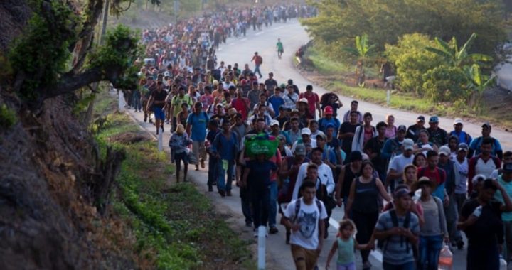 Large Groups of Illegals Keep Pouring in; Two Brought More Than 600