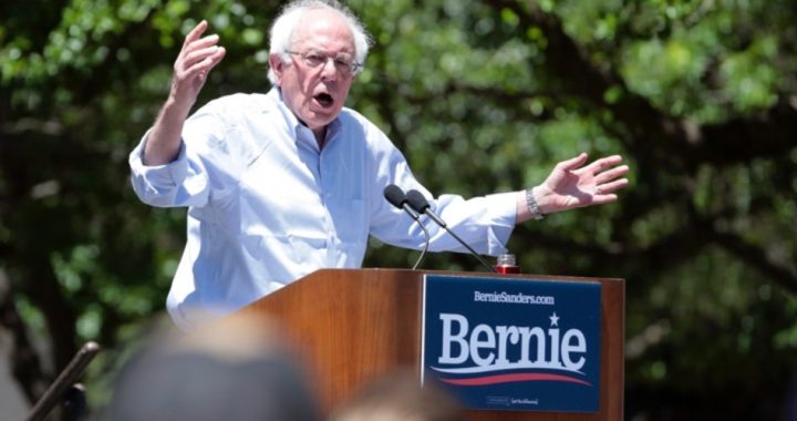 Sanders Says Disney Should Use Profits to Pay Workers “Middle Class Wage”