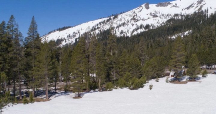 2019 Calif. Snowpack in Terrific Shape No Thanks to Climate Change