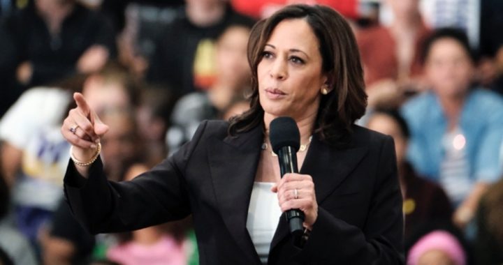 Harris Proposes Federal Bureaucracy, Fines to Close Nonexistent “Gender Pay Gap”