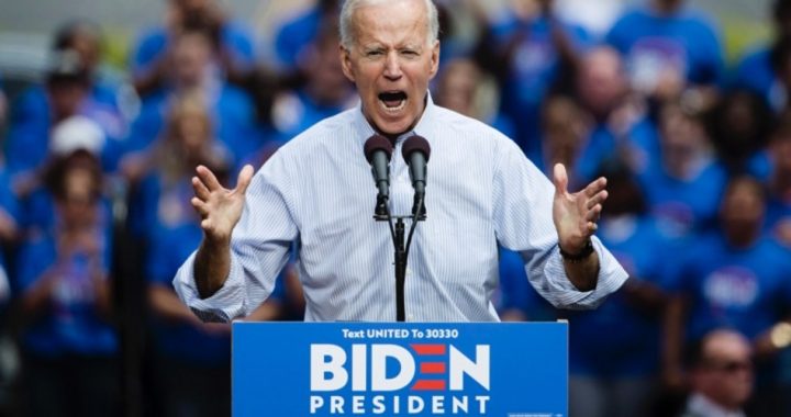 Biden Maintains Commanding Lead, Now Eight Months Long