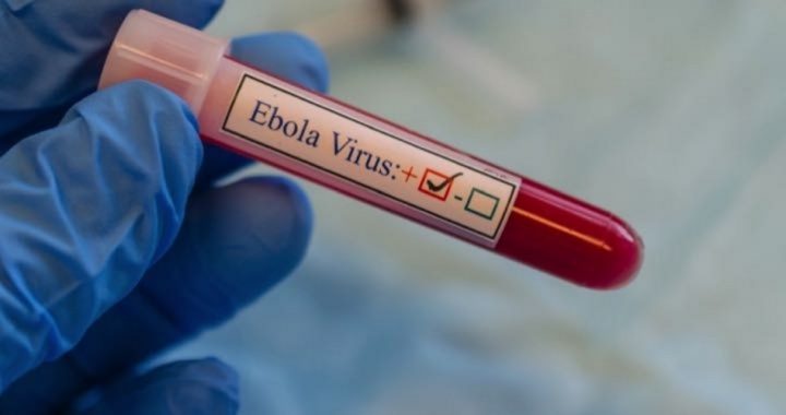 Do Congolese Illegals Crossing Border Carry Ebola? WHO Tracking Outbreak In Africa, Nearly 1,500 Dead