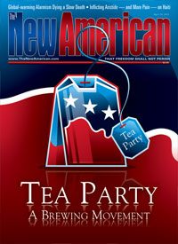 Tea Party: A Brewing Movement