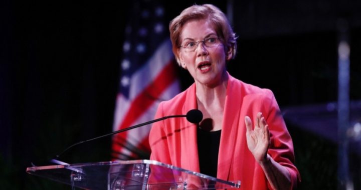 Polling Blues: Will Warren Rise on Sanders’ Ideas and Biden’s Political Corpse?
