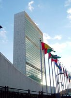 UN Cuts Back on Fraud Investigations