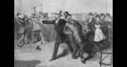 Garfield Assassination Causes Creation of Civil Service System