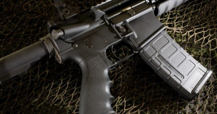 Another Gun-buyback Failure, This Time in New Zealand