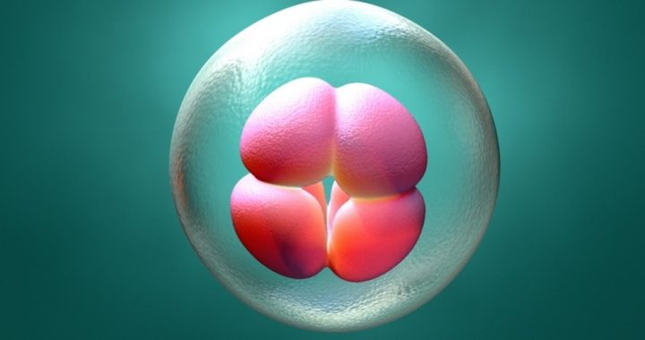 Recent Poll Reveals 95 Percent of Biologists Say Human Life Begins at Conception