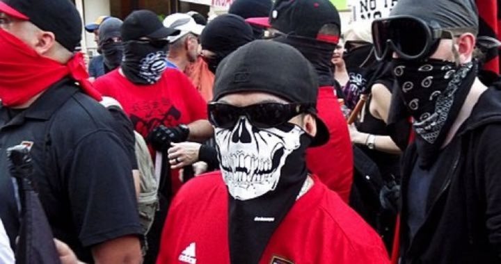 Senators Cruz and Cassidy: Antifa Is a Domestic Terrorist Organization