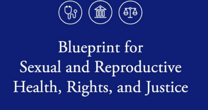 “Blueprint for Reproductive Health:” End Parental Notice of Abortion; “Reprogram” Kids’ Definition of Gender