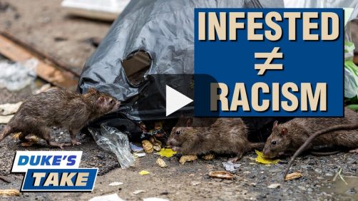 Leftist Policies Are Rat Friendly – Duke’s Take