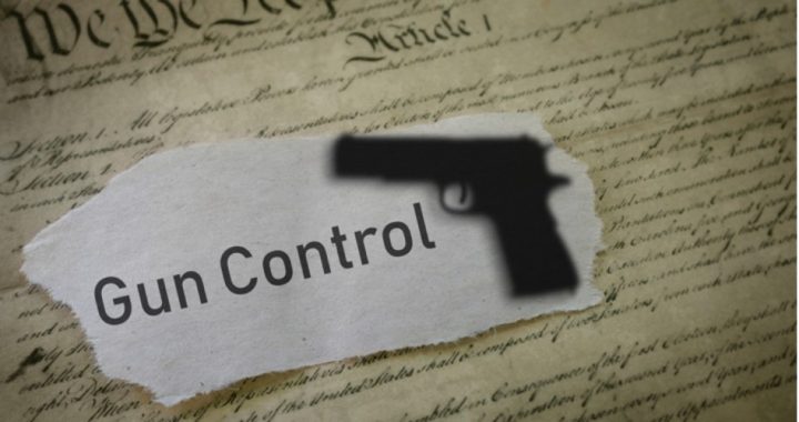 The Worrying 145: Big Business Now Wants Little Constitution and Big Gun Control