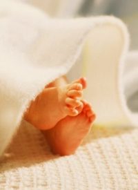 Kagan Memo Recalls Partial-birth-abortion Debate